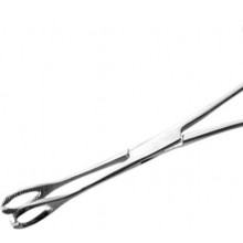 SLOTTED OVAL FORCEPS